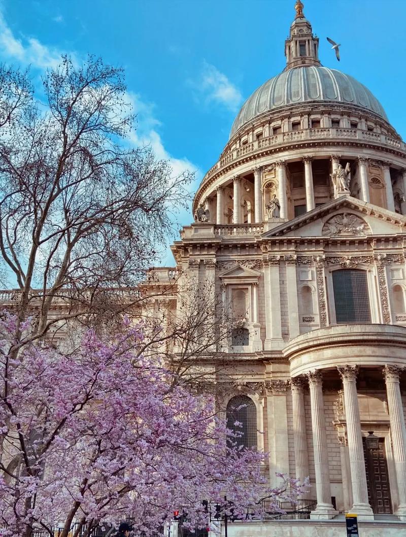 北卡罗来纳州立大学